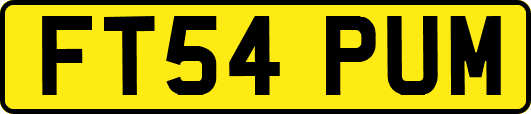 FT54PUM