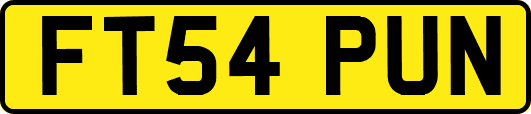 FT54PUN