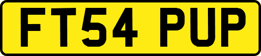 FT54PUP