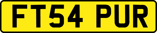 FT54PUR