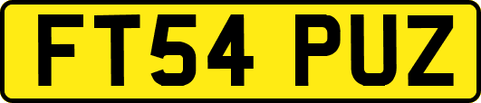 FT54PUZ