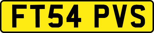 FT54PVS