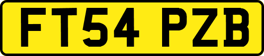 FT54PZB