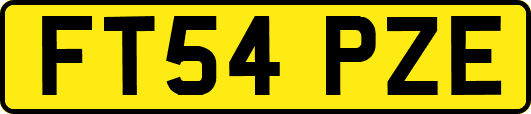 FT54PZE