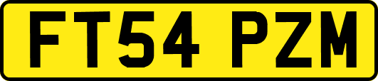 FT54PZM