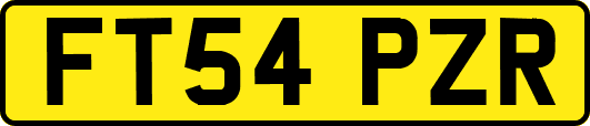 FT54PZR