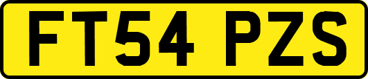 FT54PZS