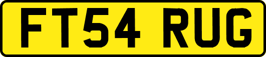 FT54RUG