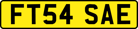 FT54SAE