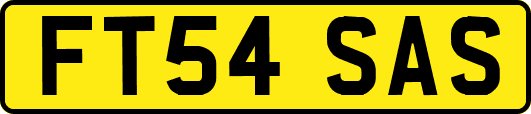 FT54SAS