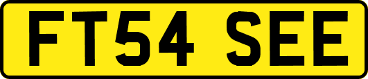 FT54SEE