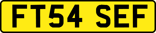 FT54SEF