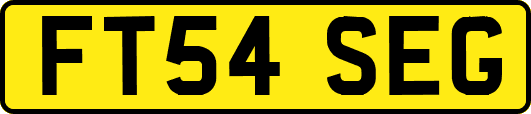 FT54SEG