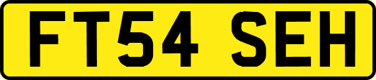 FT54SEH