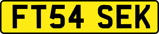 FT54SEK