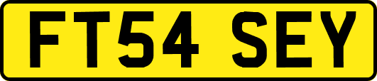 FT54SEY