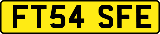 FT54SFE