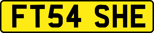 FT54SHE