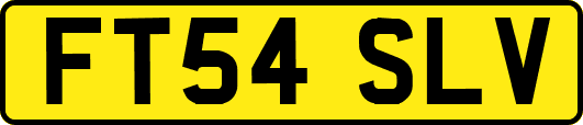 FT54SLV