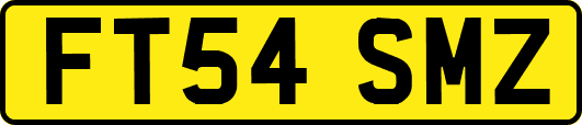 FT54SMZ