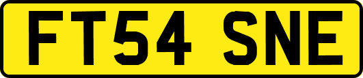 FT54SNE