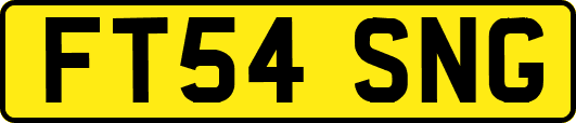 FT54SNG