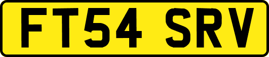 FT54SRV