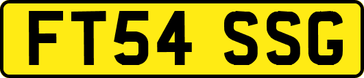 FT54SSG