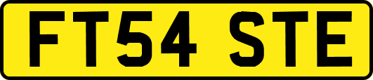 FT54STE