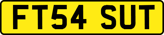 FT54SUT