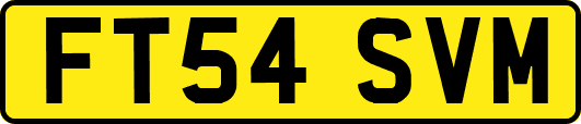 FT54SVM