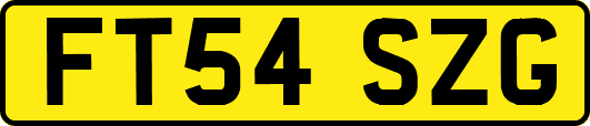 FT54SZG