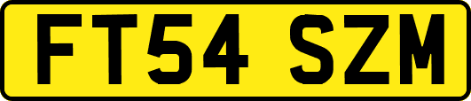 FT54SZM