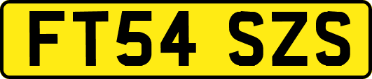 FT54SZS