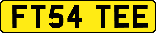 FT54TEE