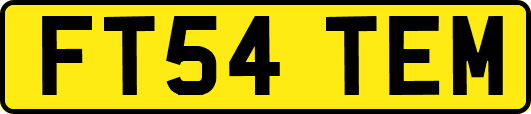 FT54TEM