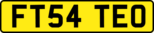 FT54TEO