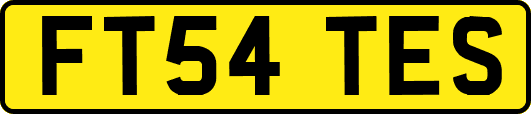 FT54TES