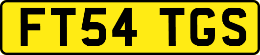 FT54TGS