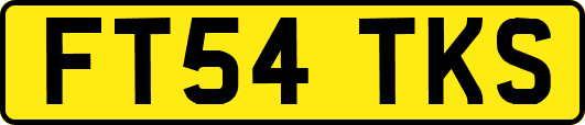 FT54TKS