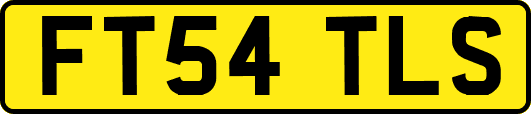 FT54TLS