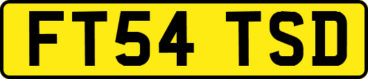 FT54TSD
