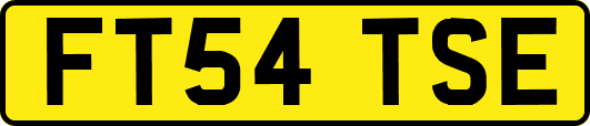 FT54TSE