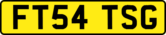 FT54TSG