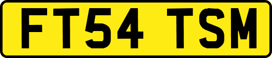 FT54TSM