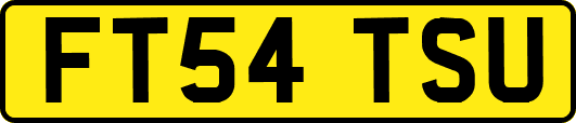 FT54TSU
