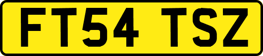 FT54TSZ