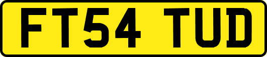 FT54TUD