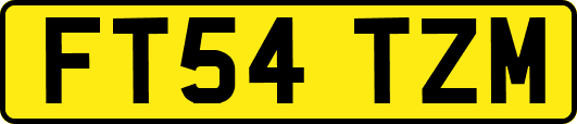 FT54TZM