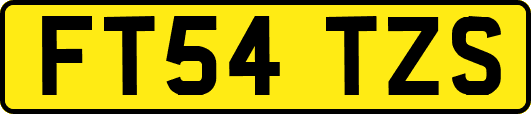 FT54TZS